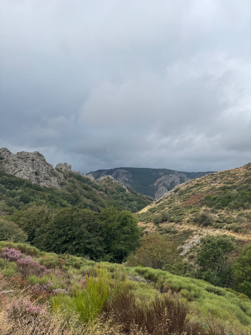 Circuit le vialais - Rosis
