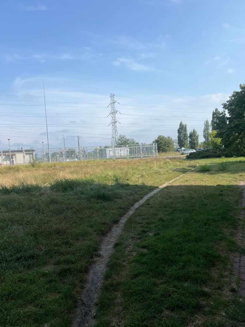 Błonie nadsanskie - Stalowa Wola