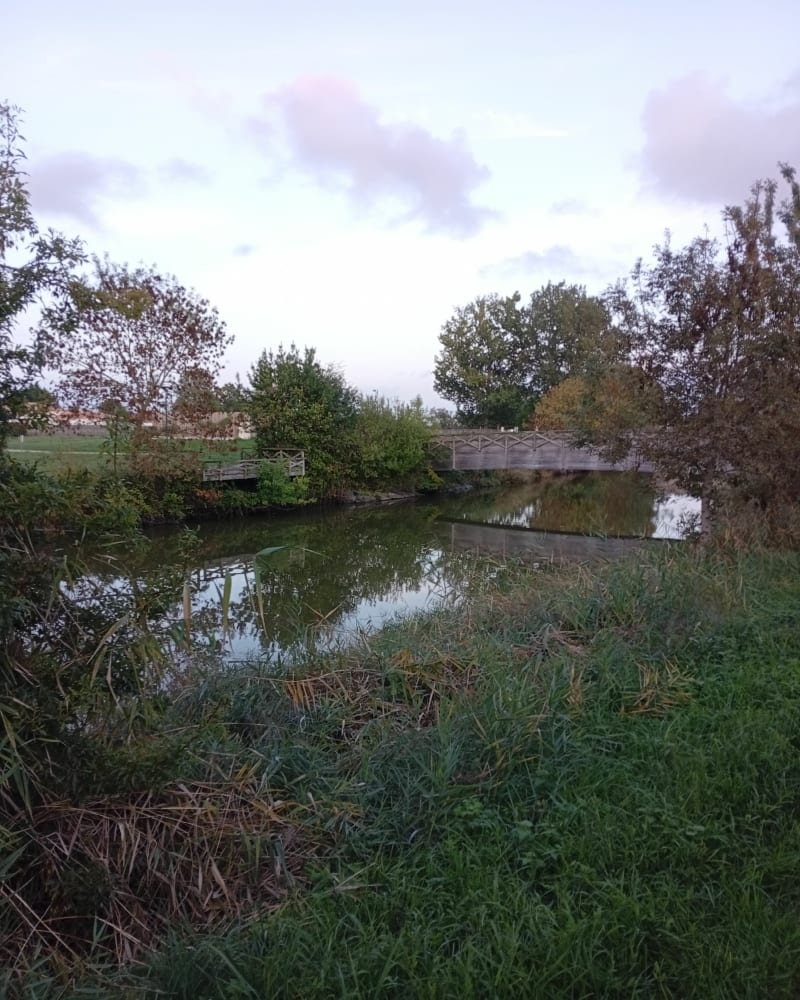 Chemin de la Durantiere - Notre-Dame-de-Riez