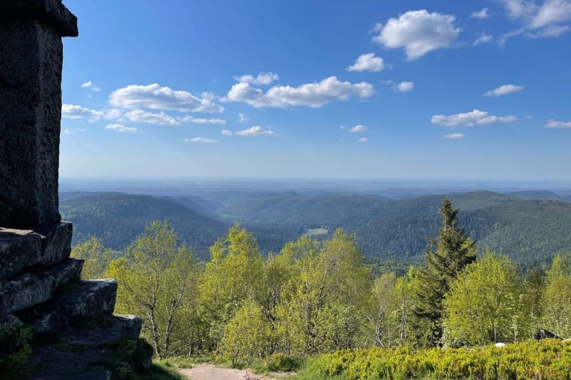 Randonnée Donon : vue sur les Vosges depuis le temple du Donon