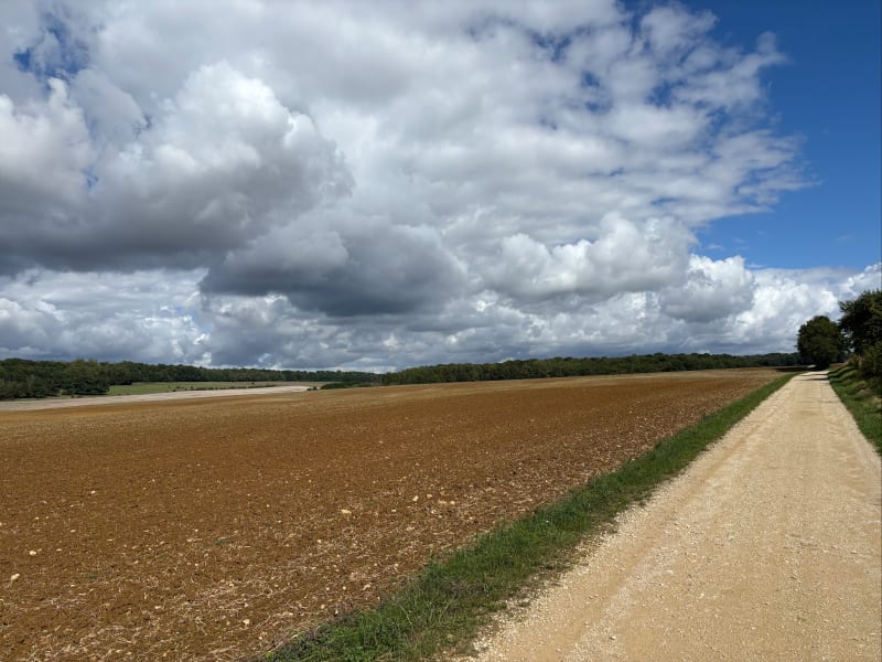 Sur les hauteurs d’Haironville - Haironville