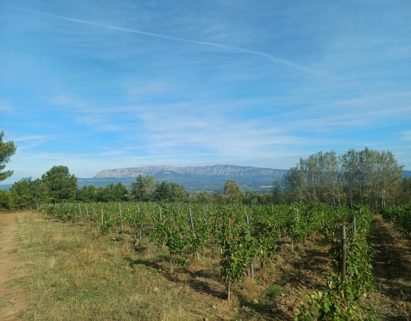 Balade de Grand Boise à Kirbon - Trets