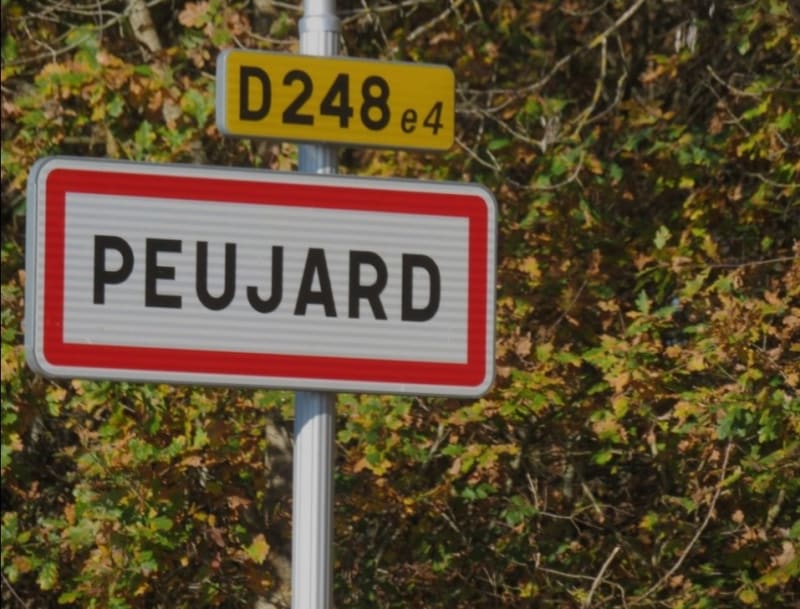 Balade digestive peujardaise - Peujard