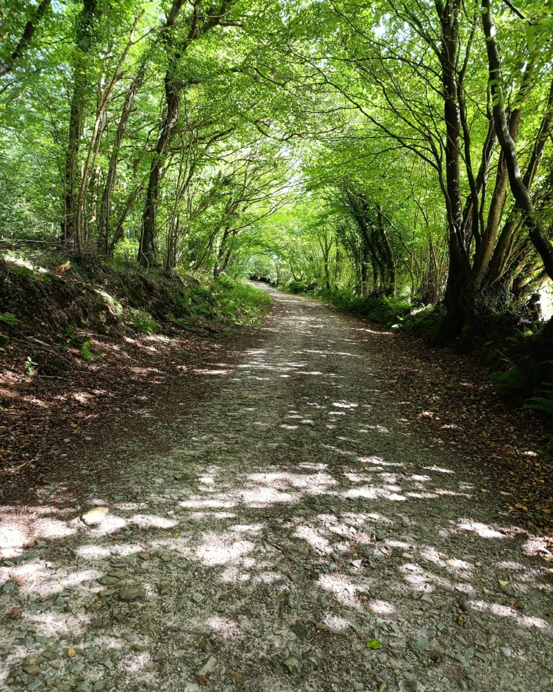Vallée de Trottebec - Cherbourg-en-Cotentin