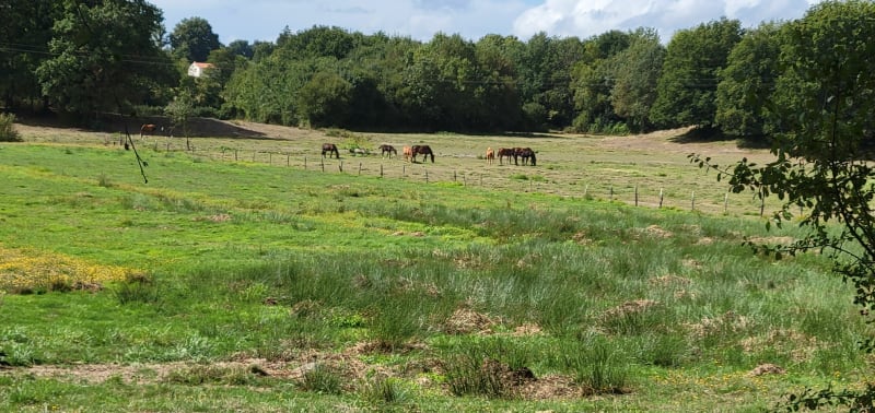 Au nord de Saint-Lumine-de-Clisson - Saint-Lumine-de-Clisson