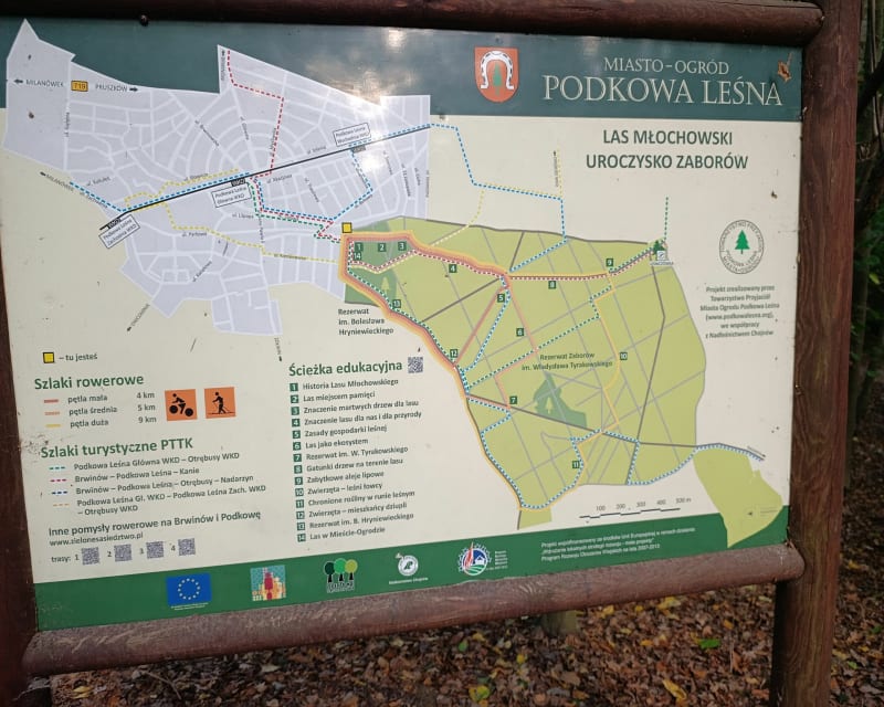 Przez rezerwat Hryniewieckiego i górki lasu Młochowskiego - Podkowa Leśna