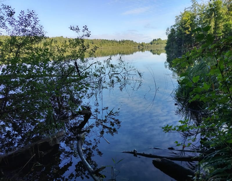 Tour du lac de Bonlieu - Bonlieu