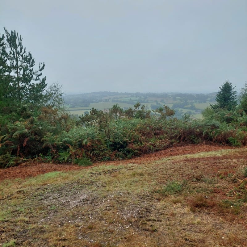 La butte de Gromonts - Souleuvre en Bocage