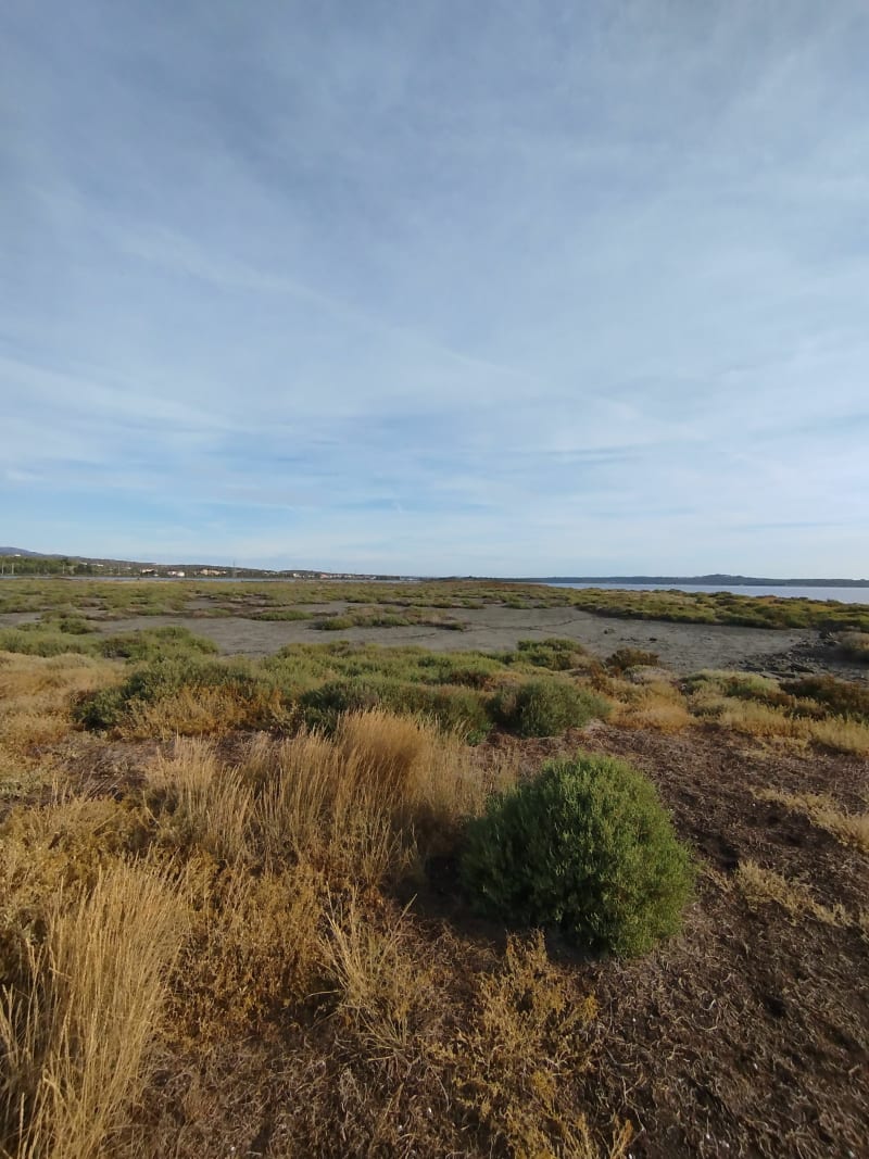 Balade matinale à Port Fitou - Fitou
