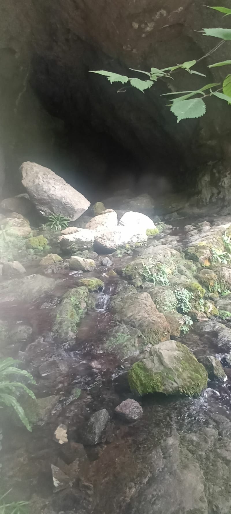 Source de la Bidouze depuis l'auberge Ahusquy (Aussurucq) - Aussurucq