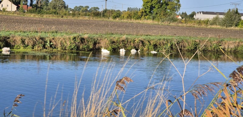 50 kilomètres au départ du parc des Rives de l'Aa - Gravelines