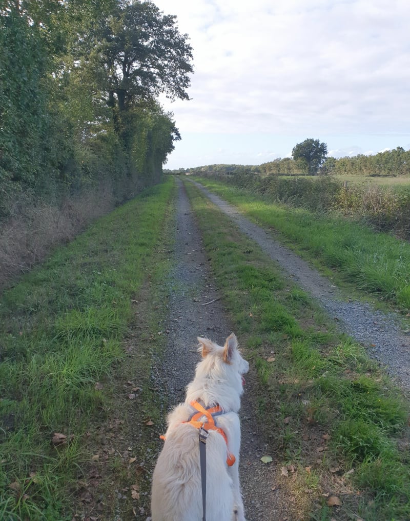Parcours de Touvois, par les Champs Jolet - Touvois
