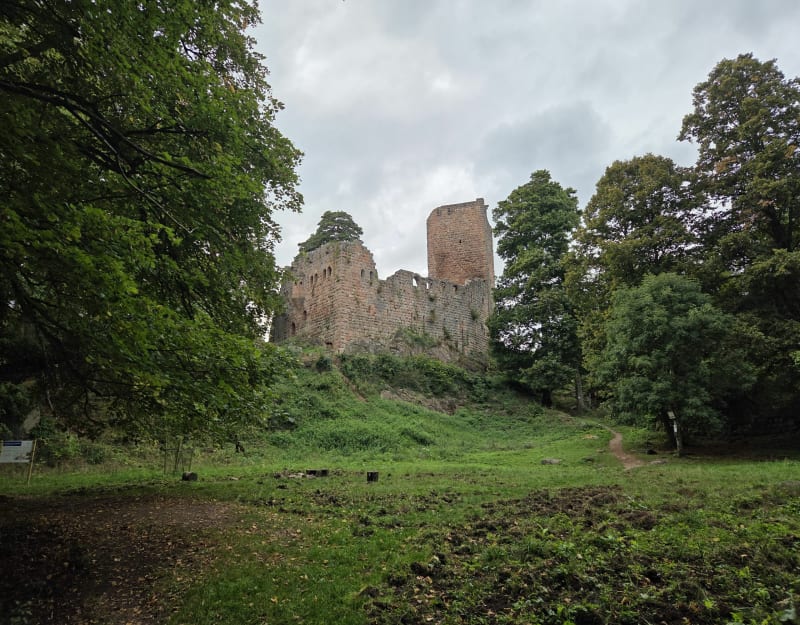 Le royaume du Single autour de Mittelbergheim - Mittelbergheim