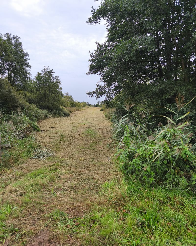 Eerste powerwalk - Vledder