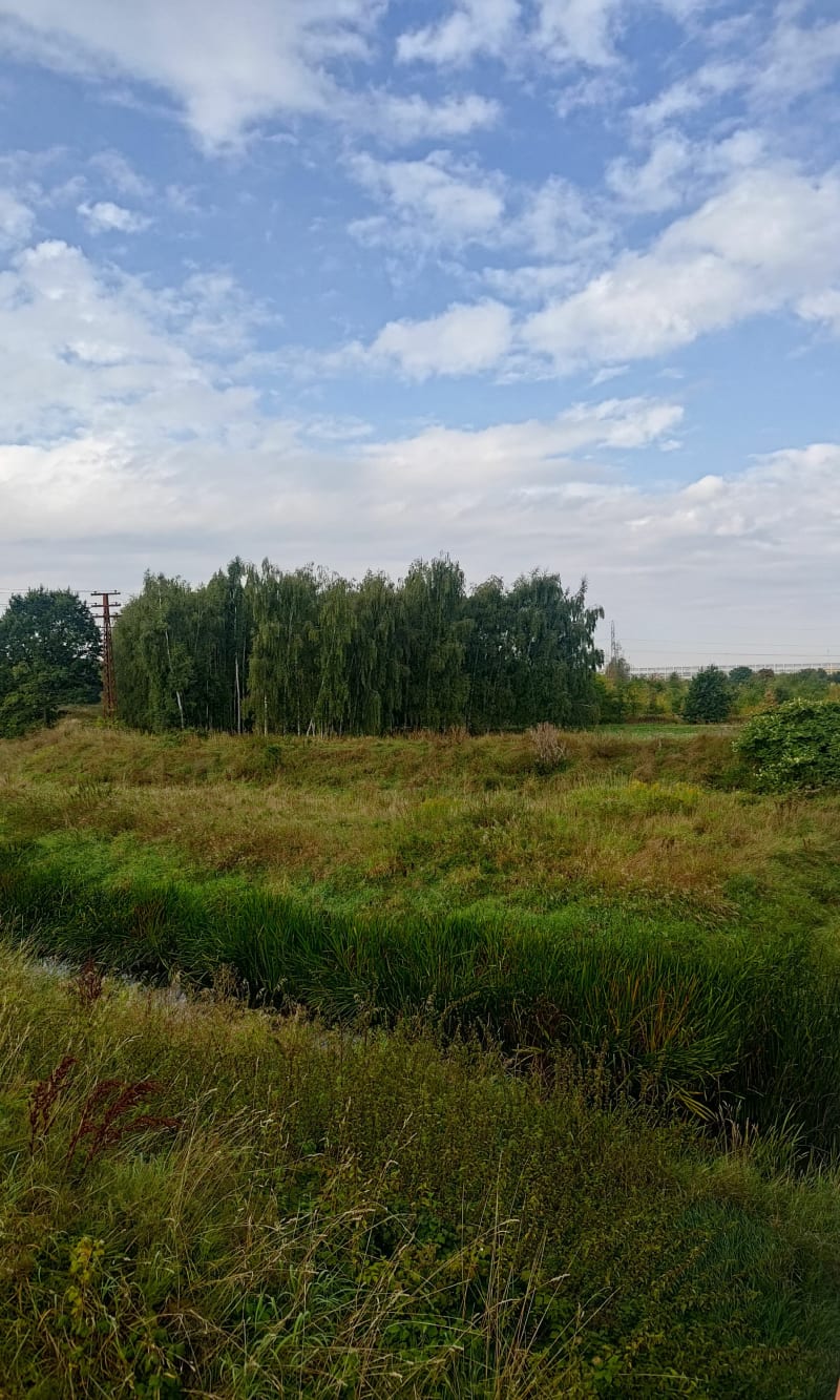 Brig w Parku Tysiąclecia - "Krótka Trasa" - Wrocław