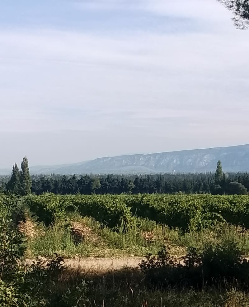 Les chemins du bien être à Lamanon - Lamanon