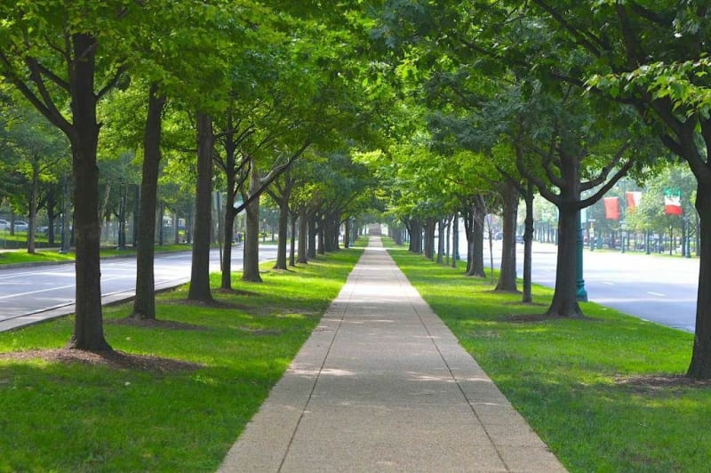 Avenue du parc - Dijon