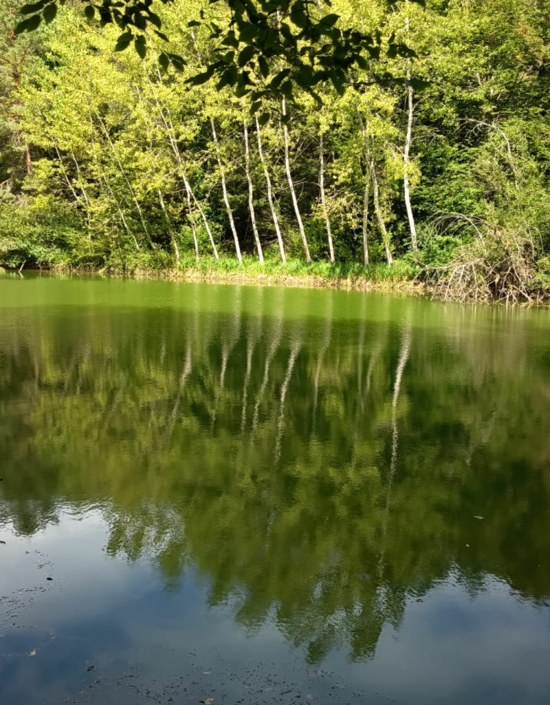 Carlucet et Crespin - Saint-Crépin-et-Carlucet