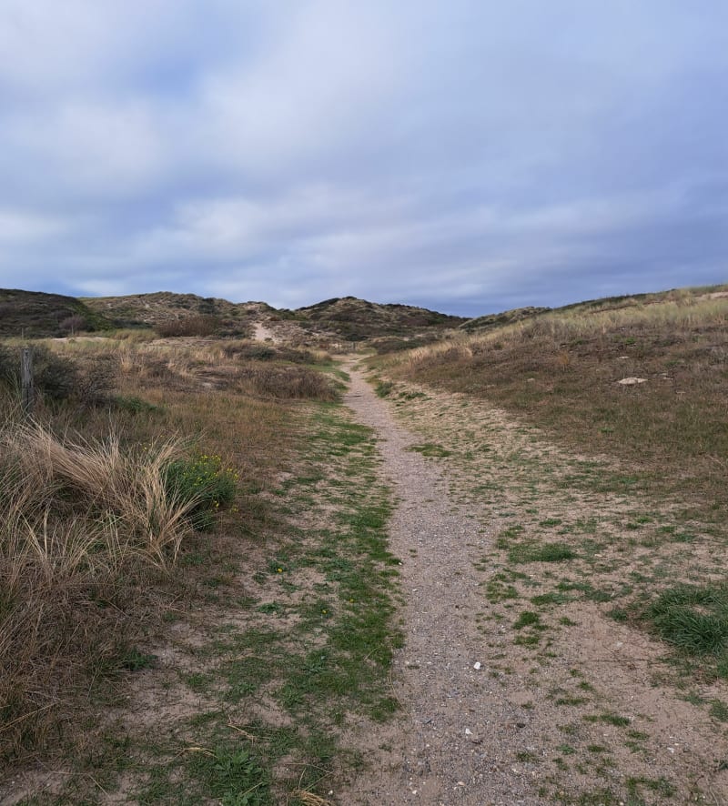 Petit tour par dune et mer - Stella - Cucq