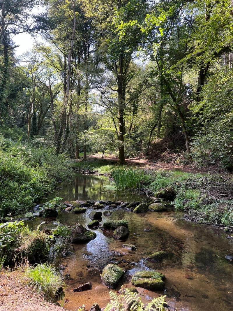Le Vieux-Marché - Chemin des Améthystes - Le Vieux-Marché
