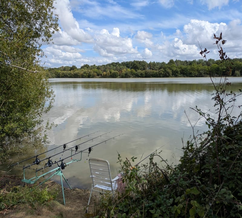 Du bourg de la Guyonnière à la Chausselière - Montaigu-Vendée