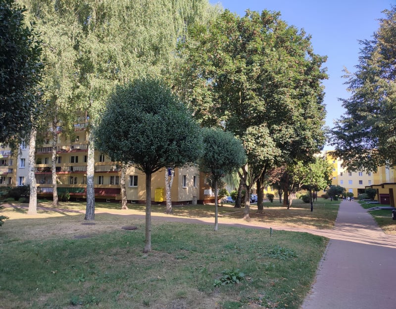 Park spacerowo z psem - Lublin