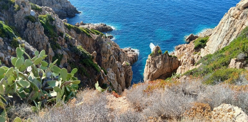 Pointe de Puntiglione et tour Genoise - Cargèse