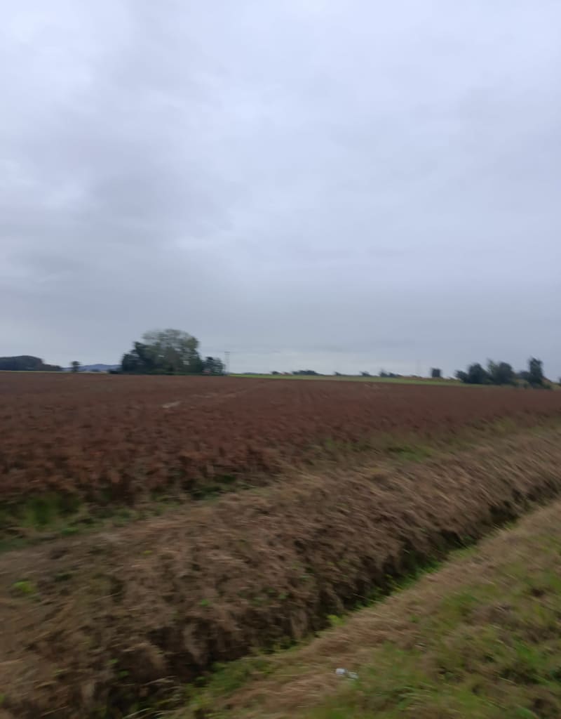 Balade sur Arnèke - Arnèke