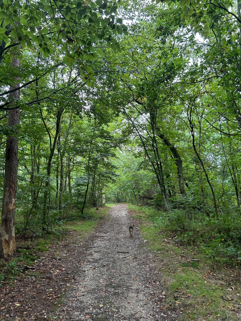 Du chemin des friches aux champs d’Ohlungen - Haguenau