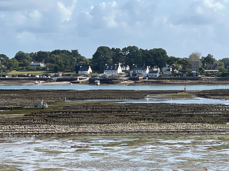 Autour de la Trinité sur mer - La Trinité-sur-Mer