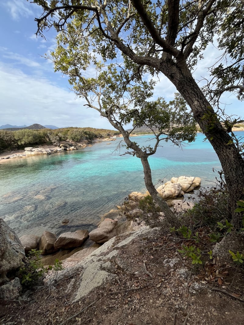 Boucle de la Punta di Ventilegne - Figari