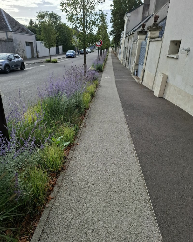 Balade vers Muides-sur-Loire - Mer