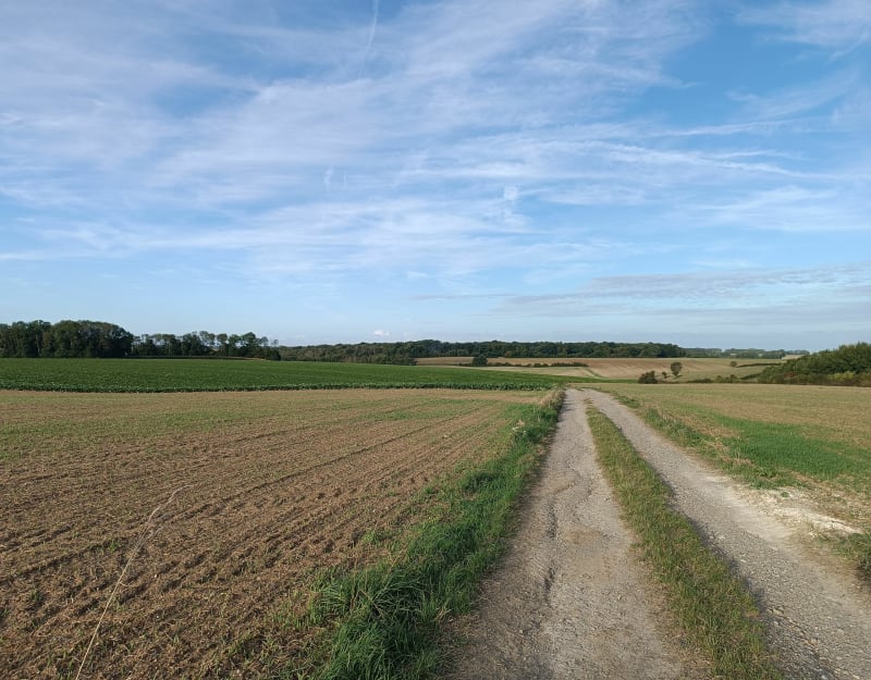 Entre route et chemin à Beauval - Beauval