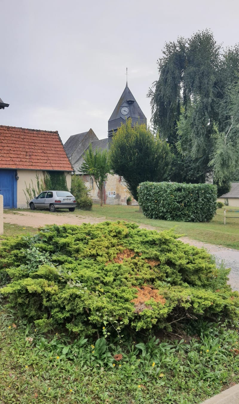 Marche à Dompierre - Dompierre