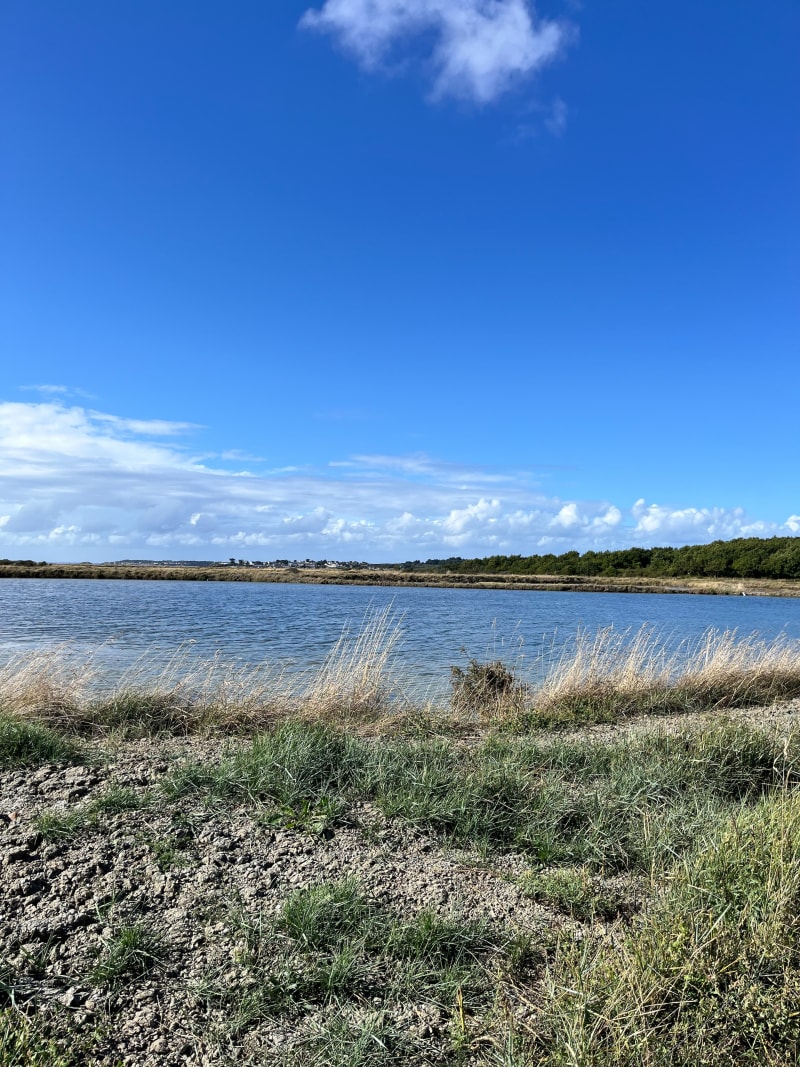 Piriac - La Turballe entre terre et mer - Piriac-sur-Mer