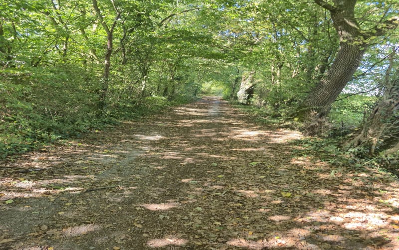 Petite balade autour d'Avrillé - Avrillé