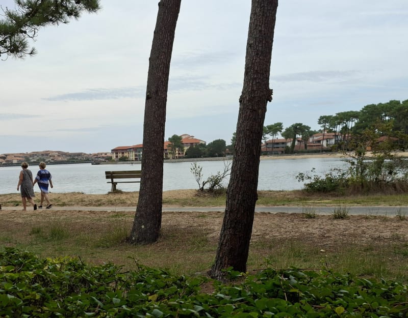 Autour de l’étang de Pinsolle à Soustons-Plage - Soustons