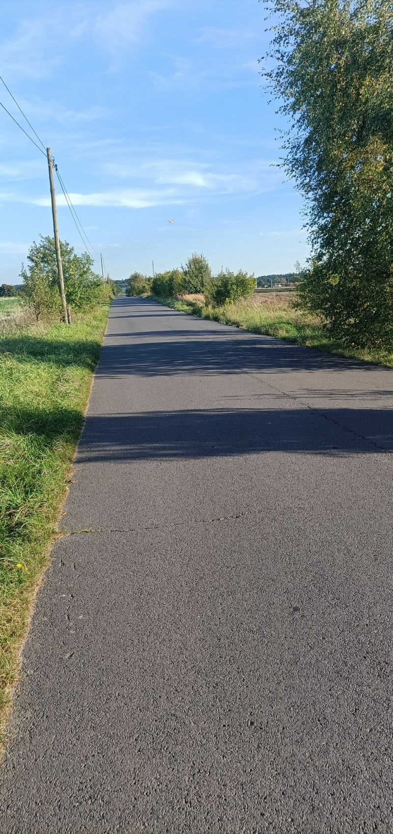 Kolejne i Rzepin - Rzepin