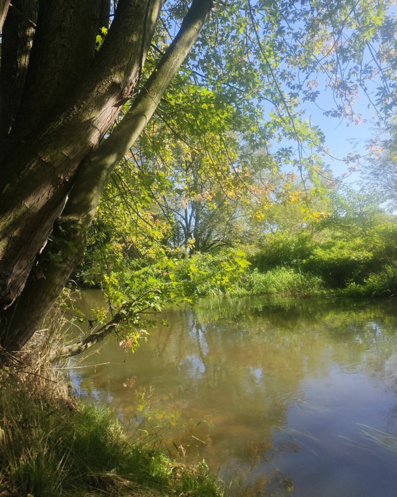 Przystanek jaskrów i Olsztyna - Częstochowa