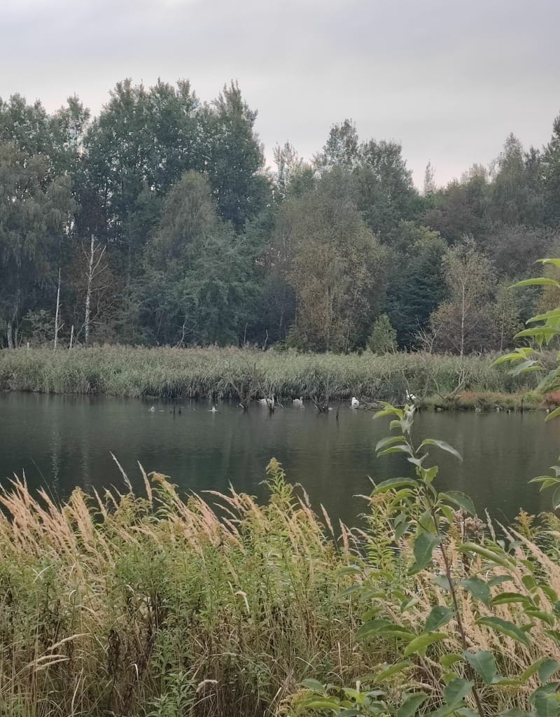 10 kilometrów w dzielnicy Rudy Śląskiej - Ruda Śląska