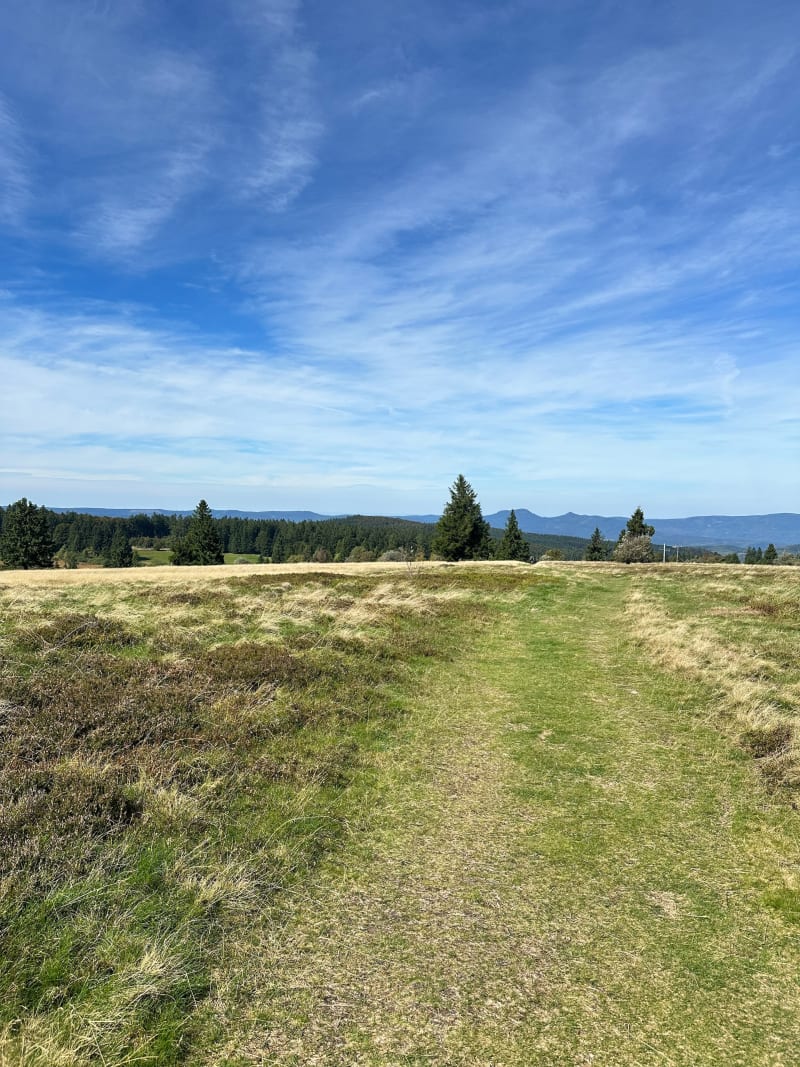 Randonnée autour du Champ du Feu et Col de la Charbonnière - Belmont