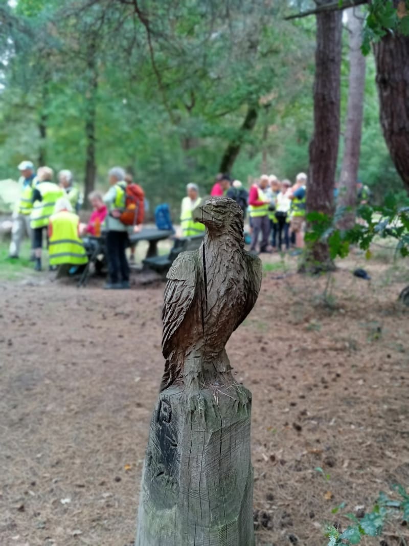 Natuurgebied De Malpie naar Borkel - Valkenswaard