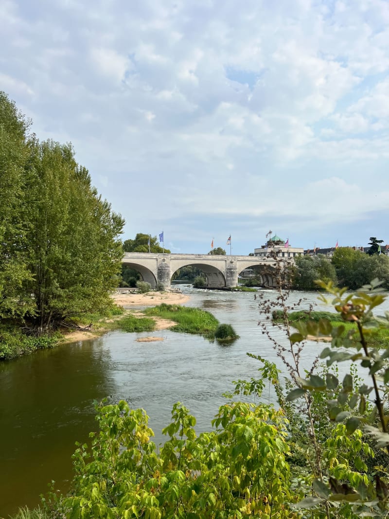 En bord de Loire à Tours et Ile Simon - Tours
