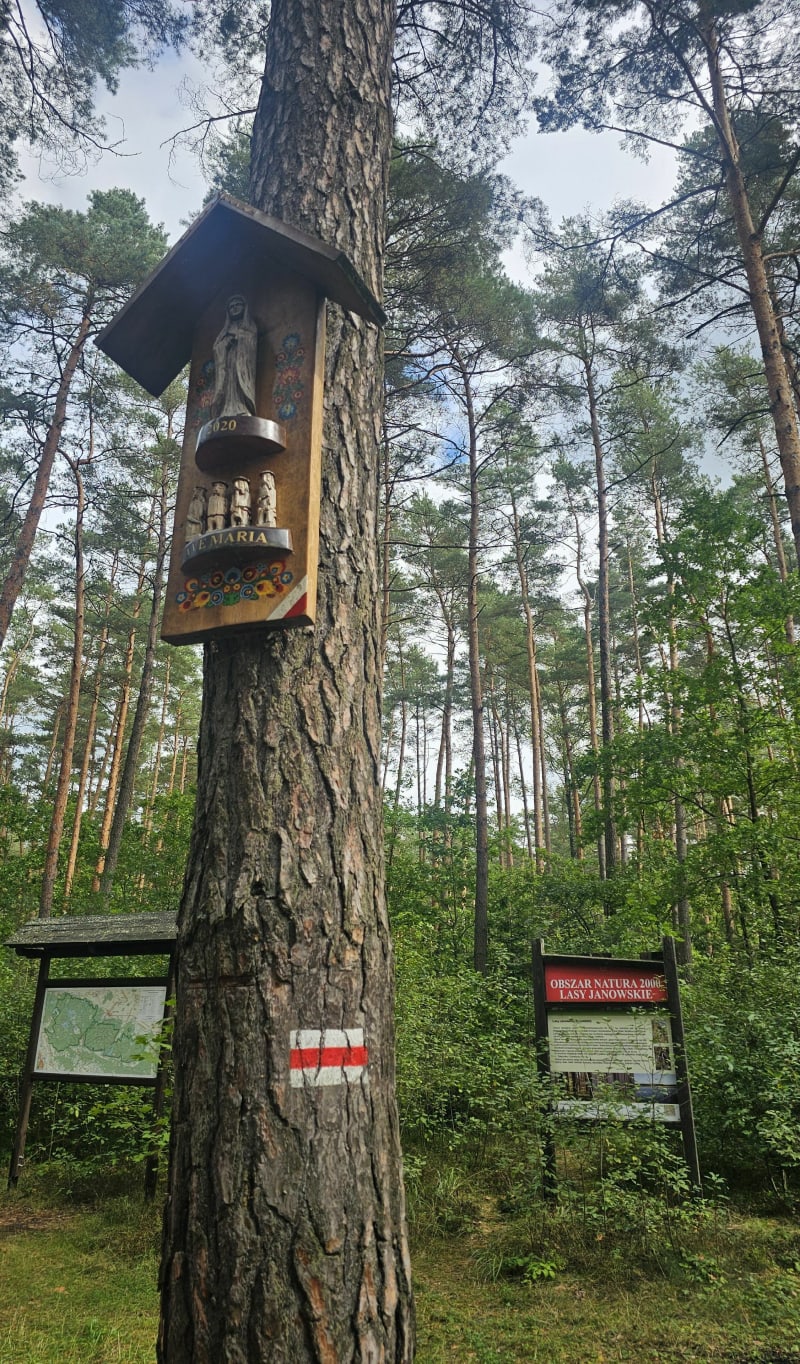 Rezerwat Imielty Ług - do torfowisk - Gierlachy