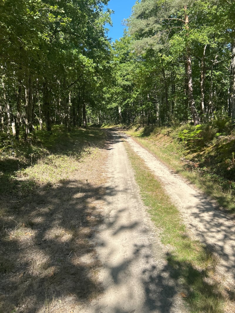Sortie VTT autour de Dampierre-en-Burly - Dampierre-en-Burly