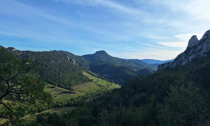 Les Dentelles de Montmirail - Gigondas
