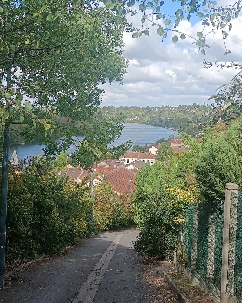 Côte à bovin - La Frette-sur-Seine
