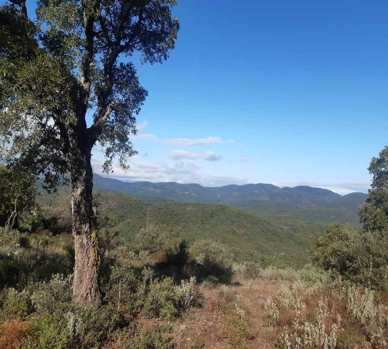 Balade autour du bois de la Gaillarde - Roquebrune-sur-Argens