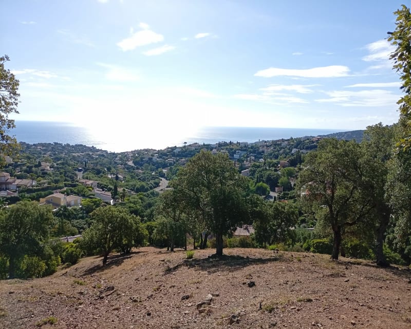 Bois de la Gaillarde vers la résidence du grand Boucharel - Fréjus