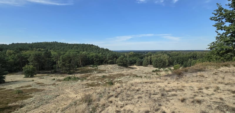 Wrzosowiska cedyńskie - Osinów Dolny